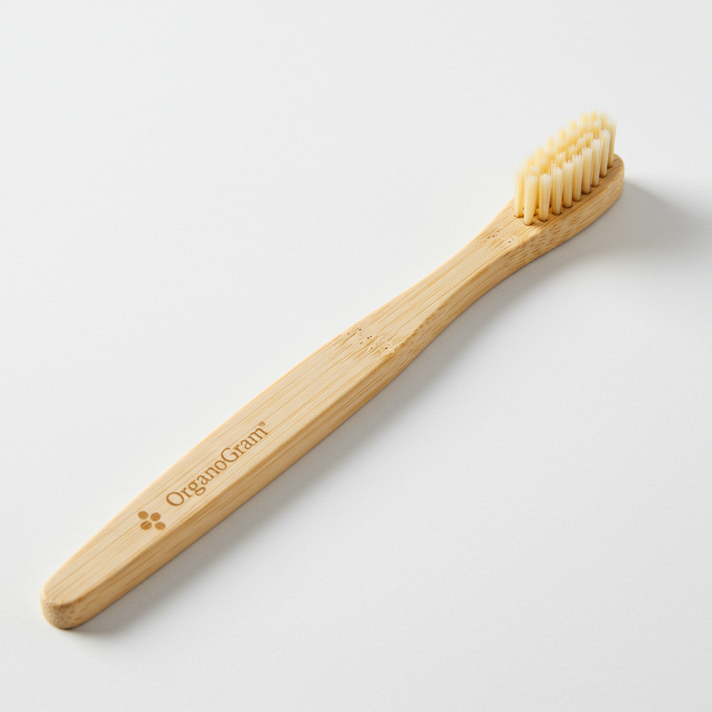 Bamboo Toothbrush Set